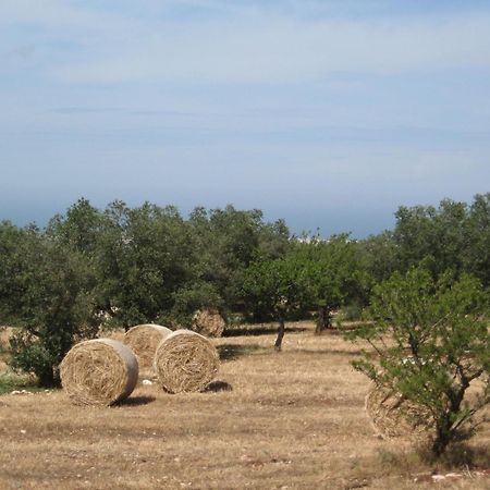 B&B Cinque Stalle Monopoli Εξωτερικό φωτογραφία